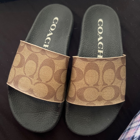 Coach slides - Picture 2 of 5